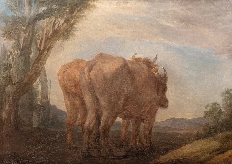 Marcello - Studio per il dipinto di sant'Isidoro